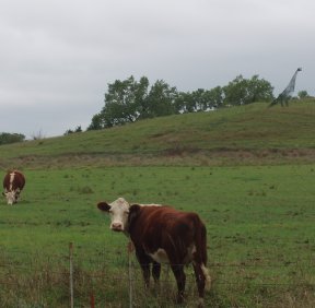 Dinosaur sculpture in pasture south of Washington along Kansas Hwy 15